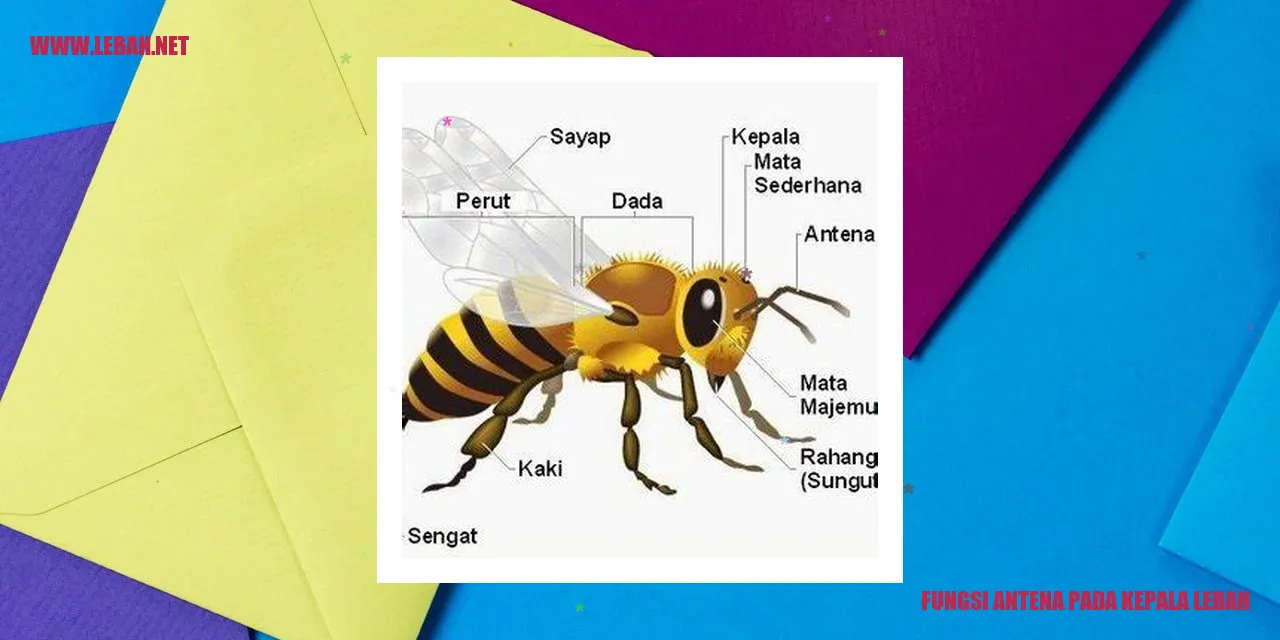 Antena Kepala Lebah