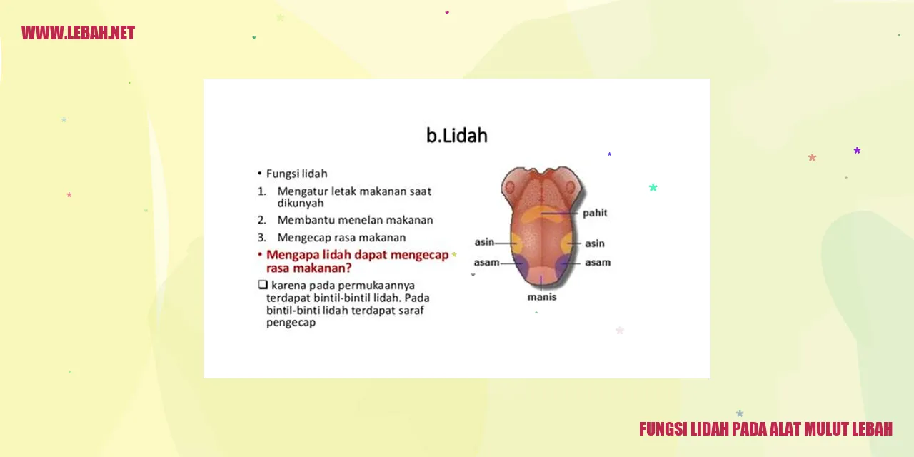 fungsi lidah pada alat mulut lebah