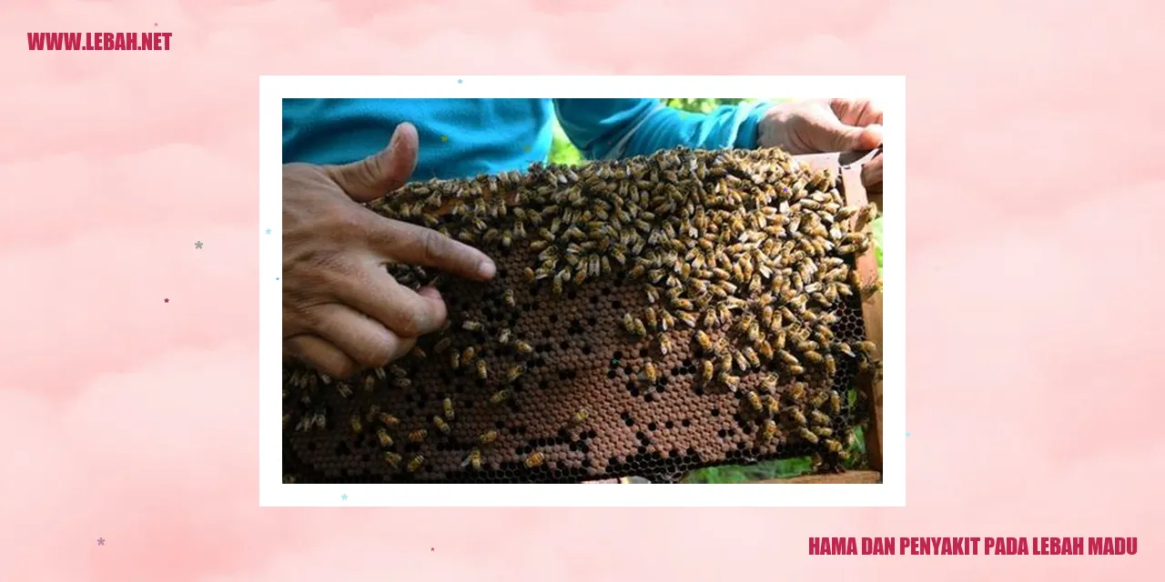 Hama dan Penyakit pada Lebah Madu