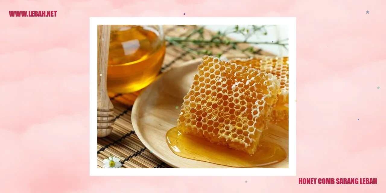 Honey Comb Sarang Lebah