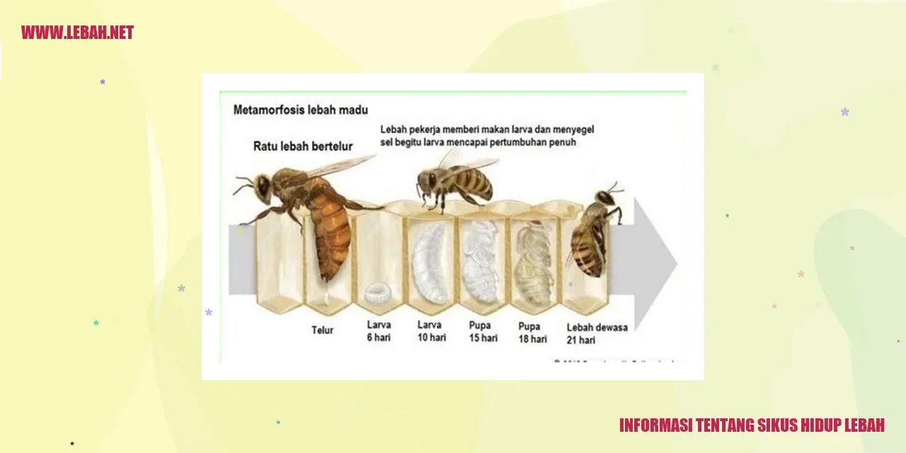 Lebah sedang menyedot nektar bunga