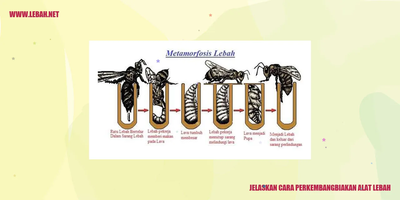 Perkembangbiakan Alat Lebah