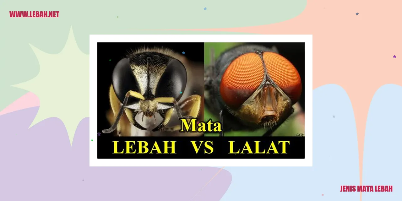 Jenis Mata Lebah