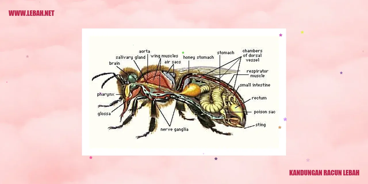 kandungan racun lebah