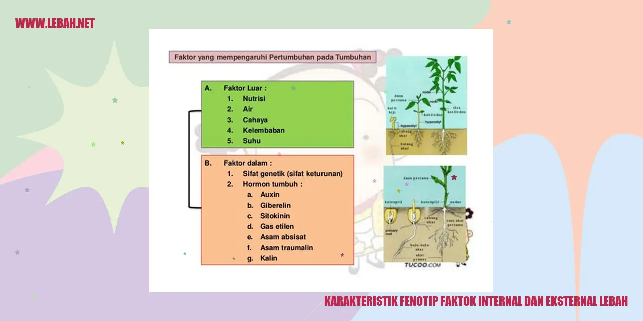 karakteristik fenotip faktok internal dan eksternal lebah