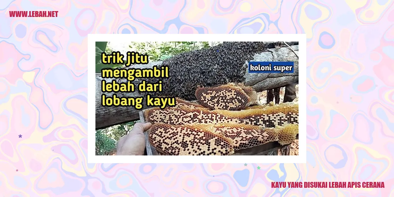 gambar kayu yang disukai lebah apis cerana