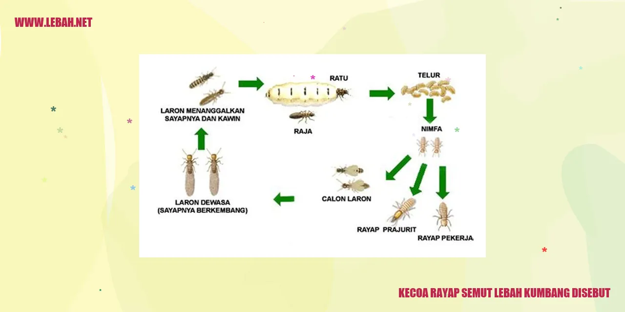 kecoa rayap semut lebah kumbang disebut