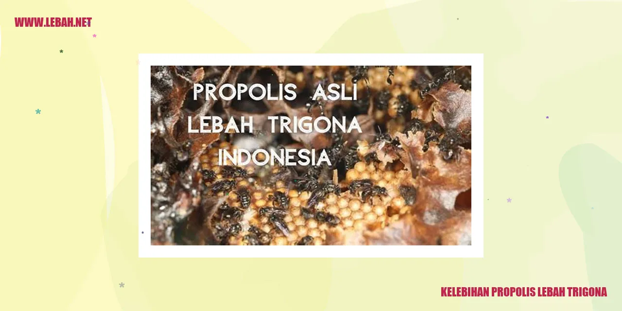 kelebihan propolis lebah trigona