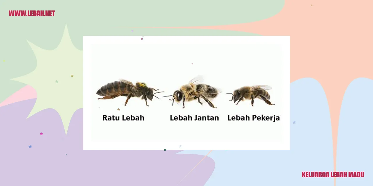 keluarga lebah madu