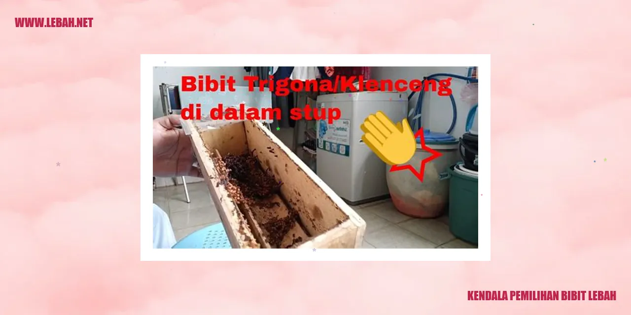 kendala pemilihan bibit lebah