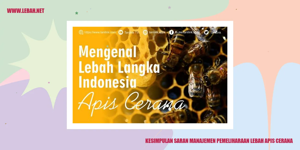 Lebah Apis Cerana