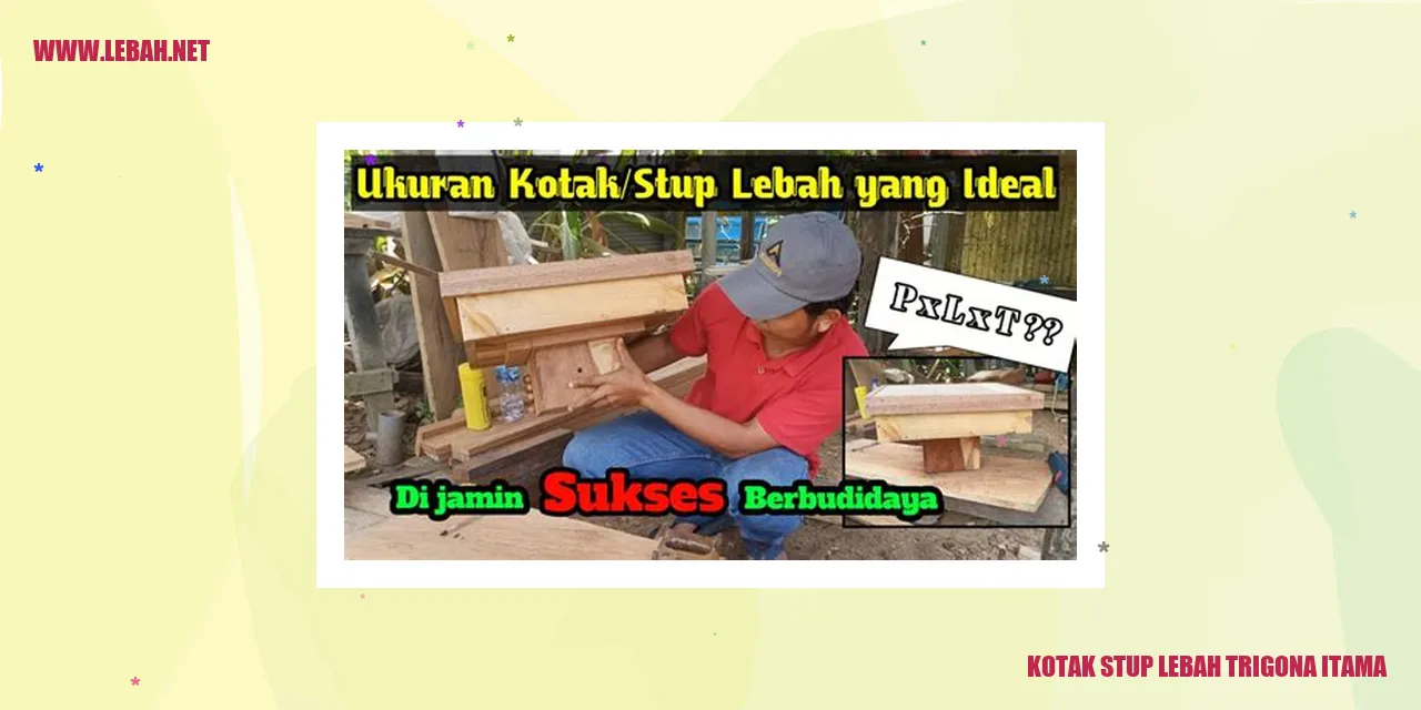 Kotak Stup Lebah Trigona Itama