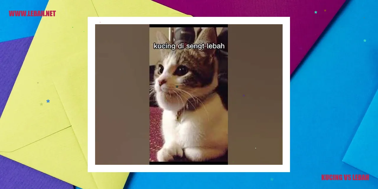 Gambar Kucing