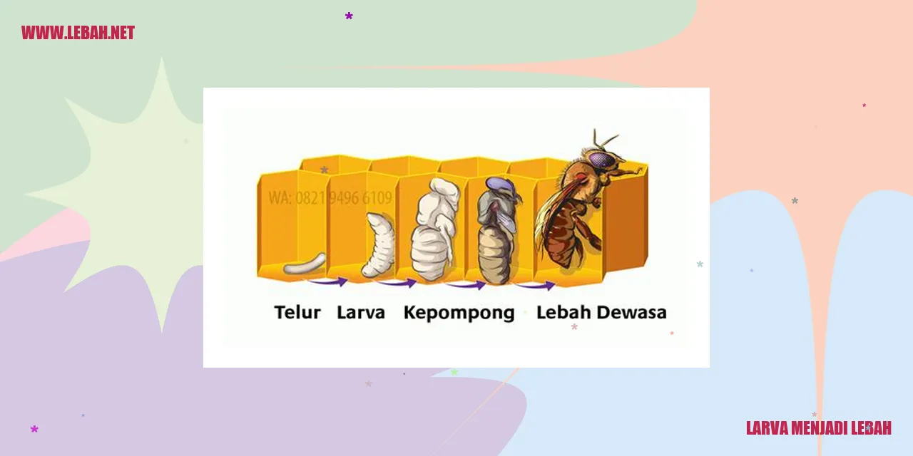 Larva Madu