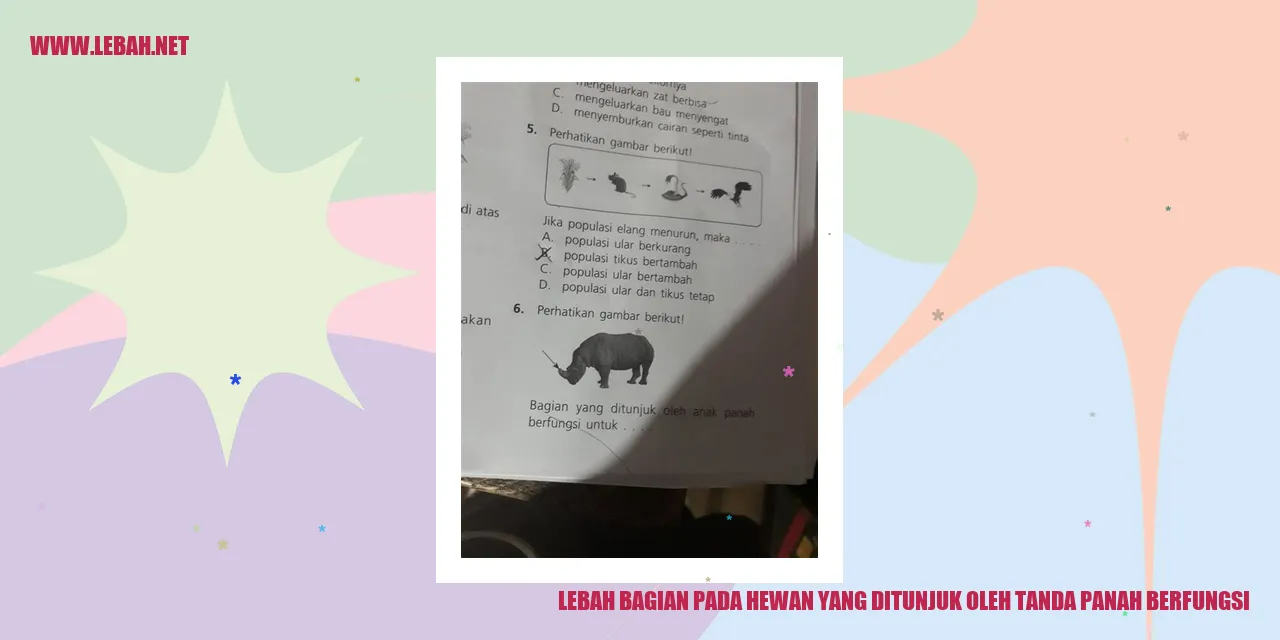 lebah bagian pada hewan yang ditunjuk oleh tanda panah berfungsi