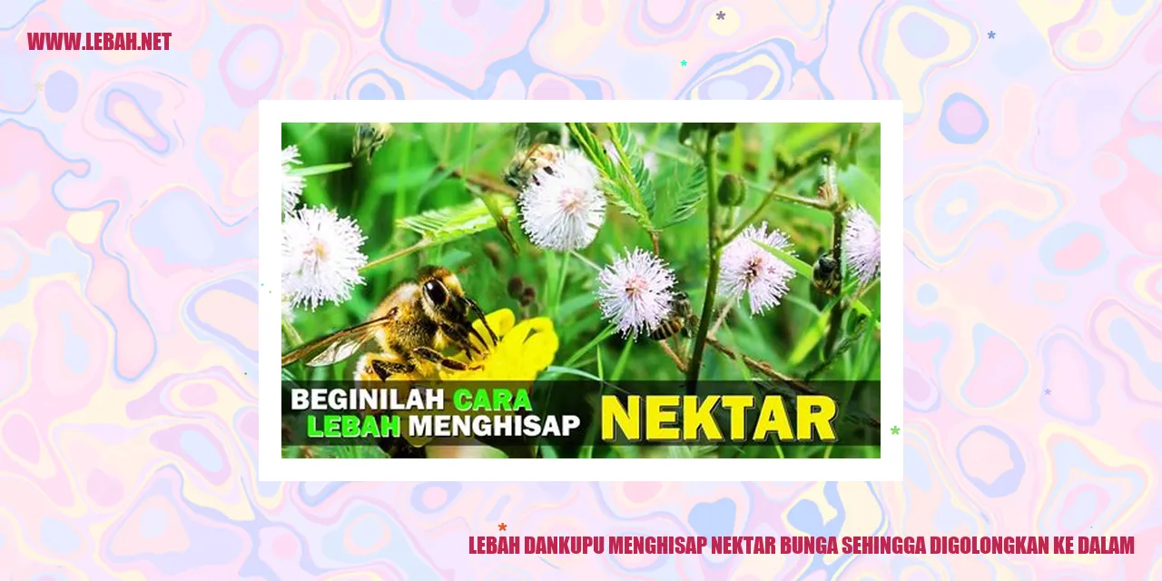 Lebah dan Kupu Kupu Menghisap Nektar Bunga