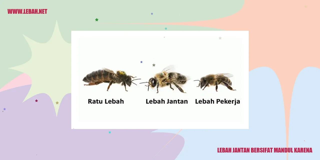 lebah jantan bersifat mandul karena