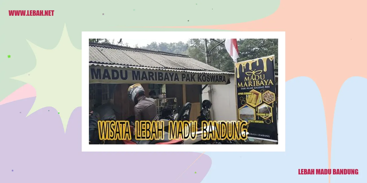 lebah madu bandung