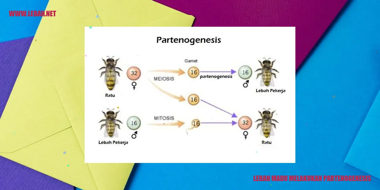 lebah madu melakukan partenogenesis