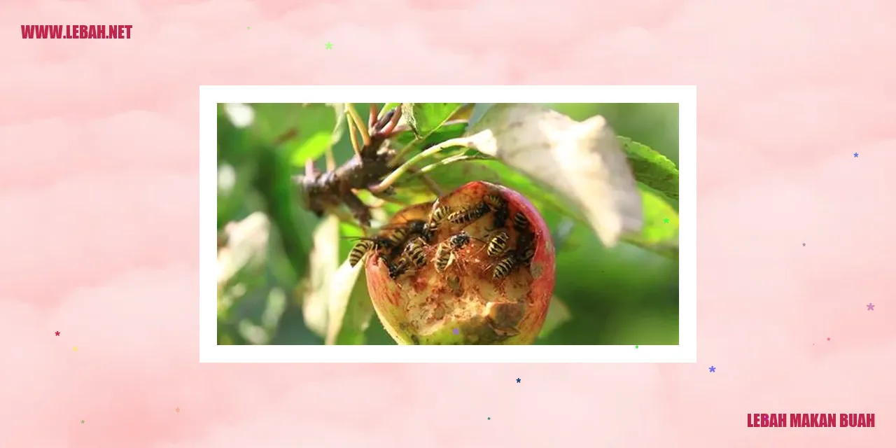 Lebah Makan Buah