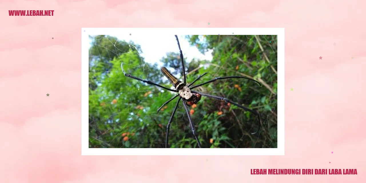 Lebah Melindungi Diri dari Laba Lama