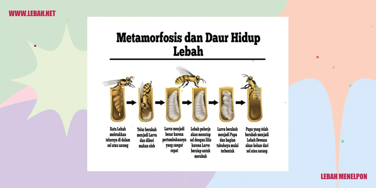 Ilustrasi Lebah Menelpon