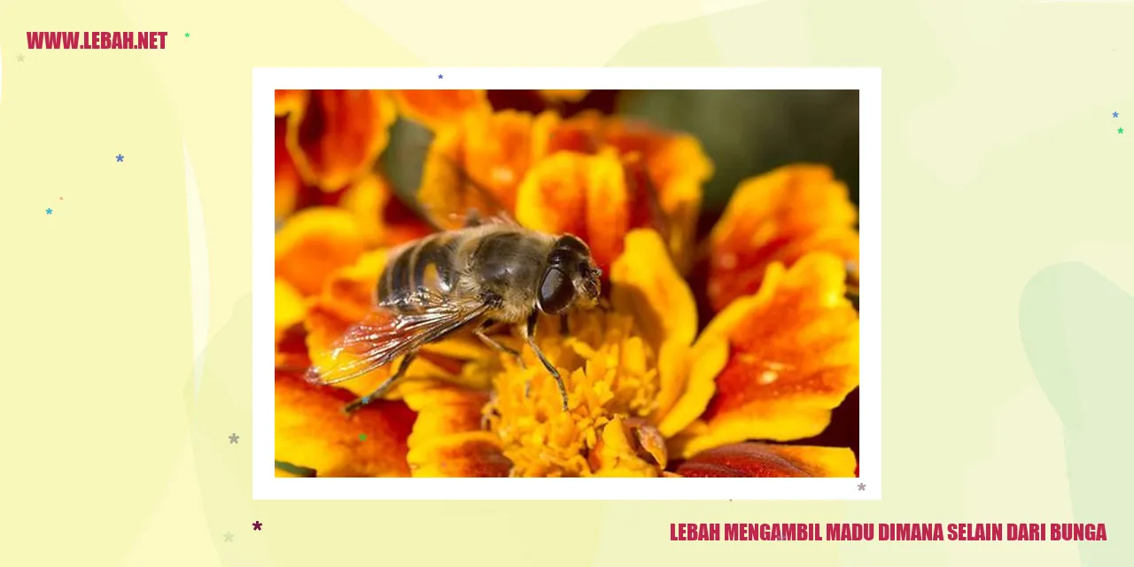 Lebah mengambil madu dari bunga