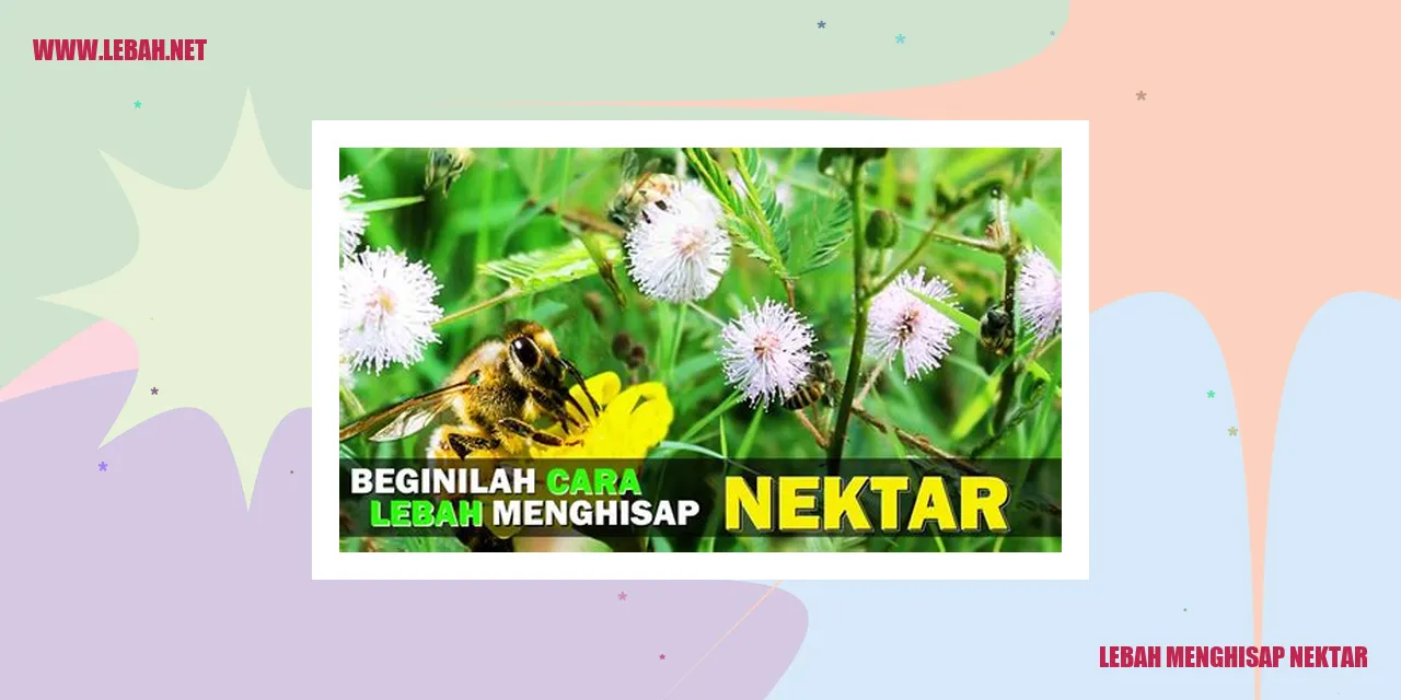 lebah menghisap nektar