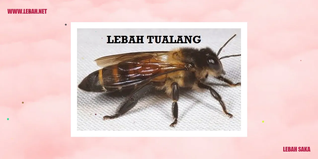 Lebah Saka Indah