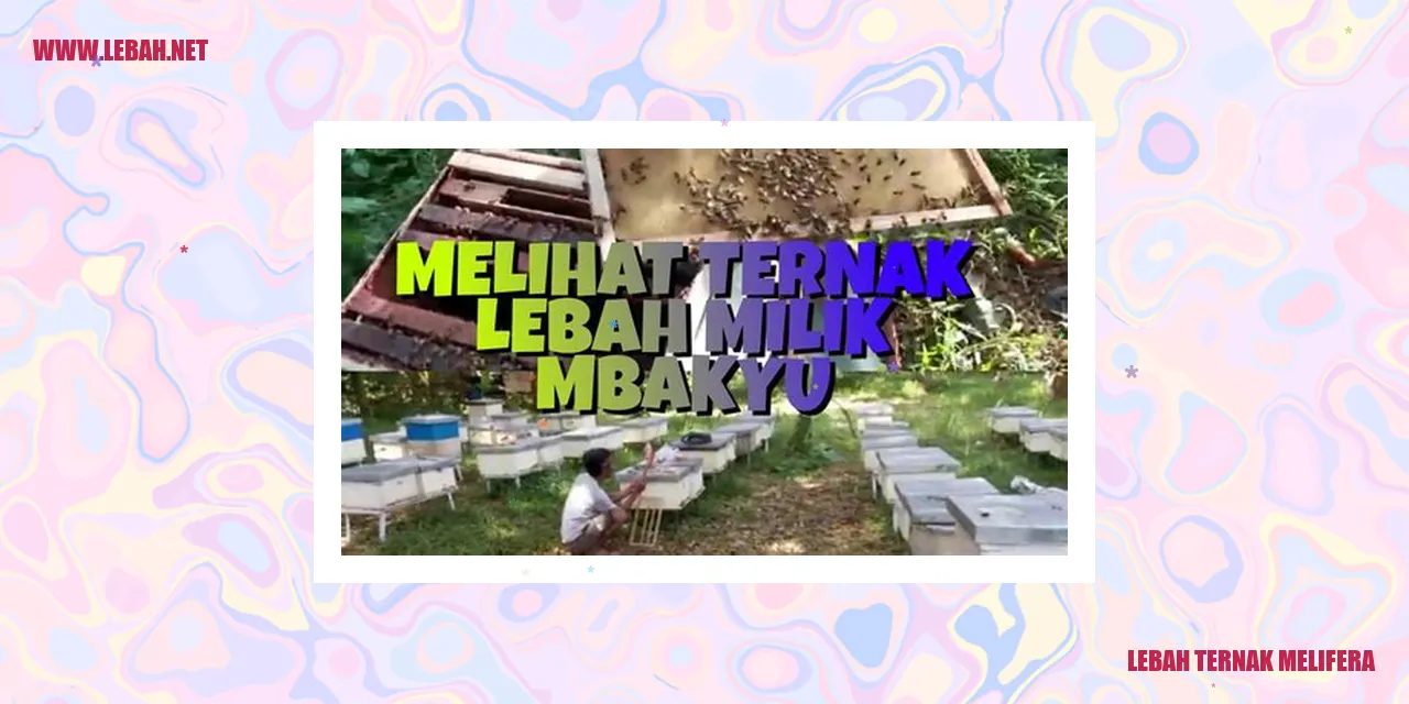 Lebah Ternak Melifera