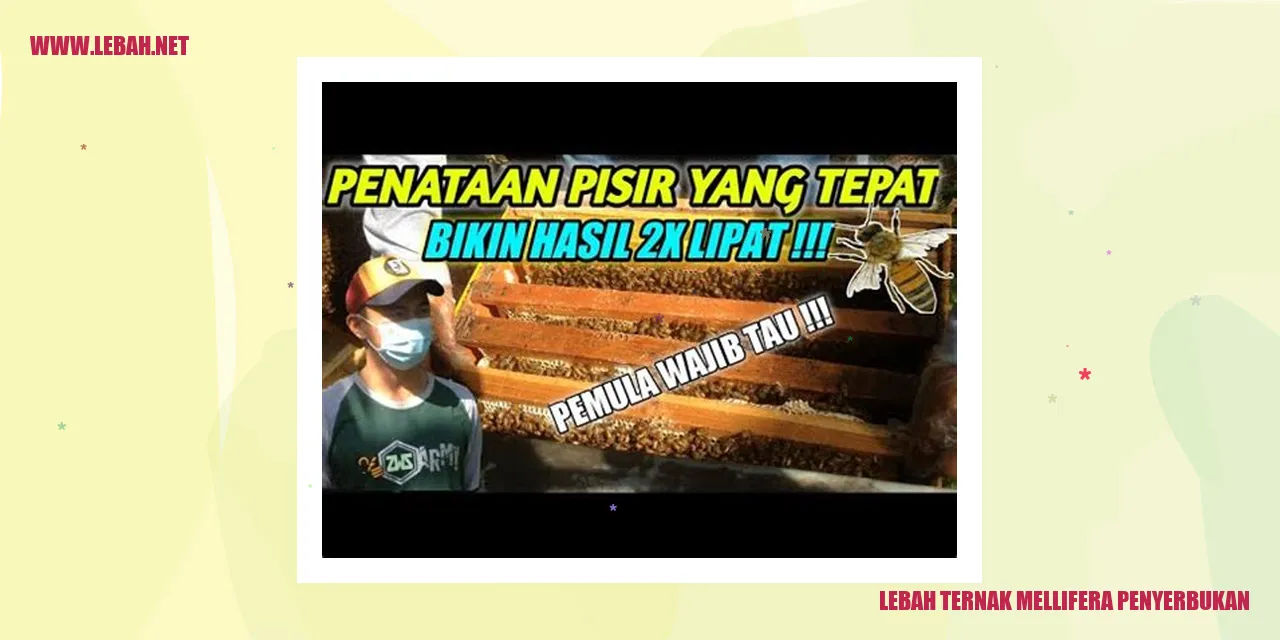 gambar lebah ternak mellifera penyerbukan