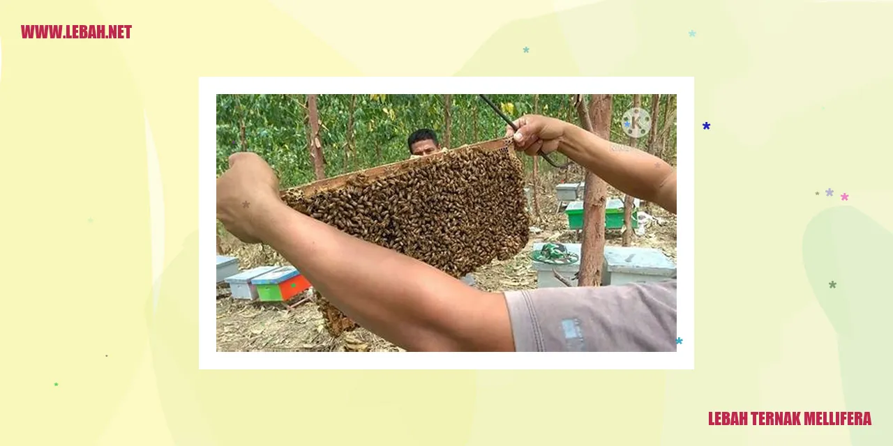 gambar lebah ternak mellifera