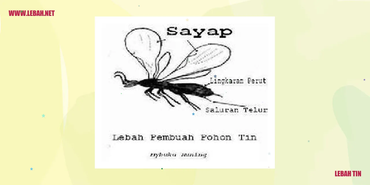 Gambar Lebah Tin