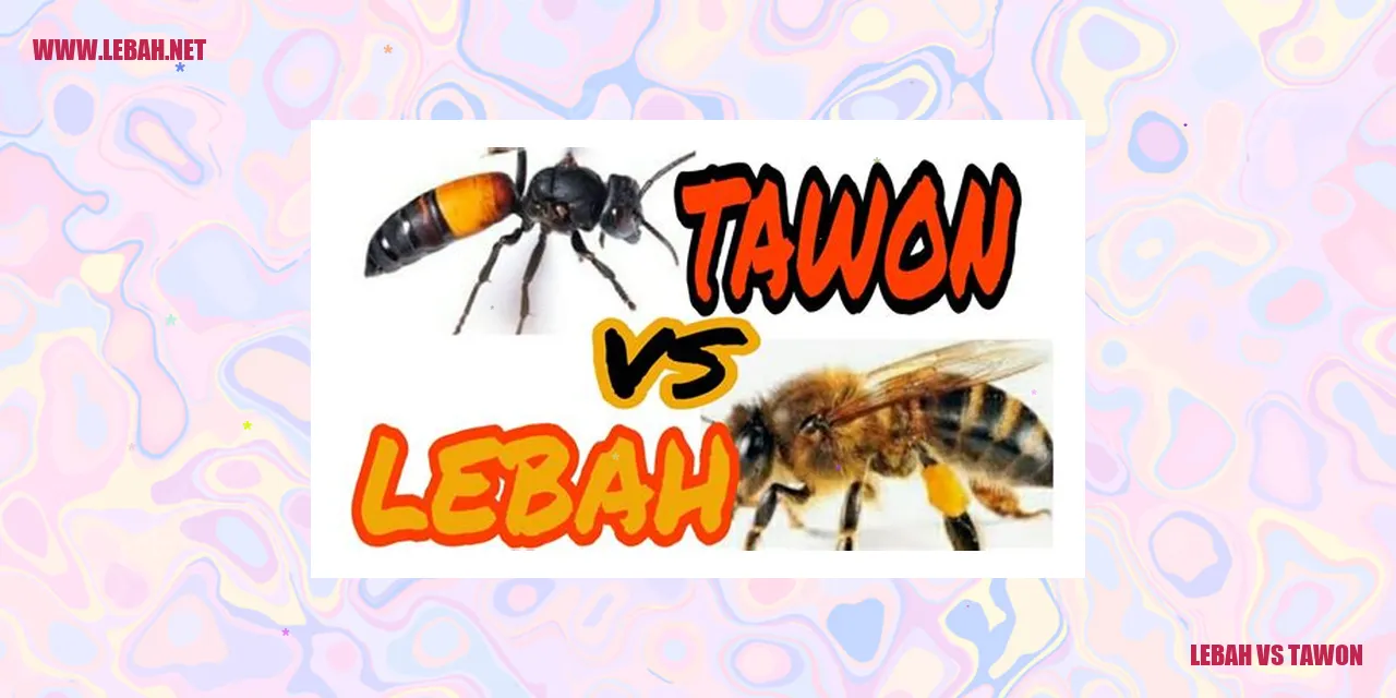 Gambar lebah vs tawon