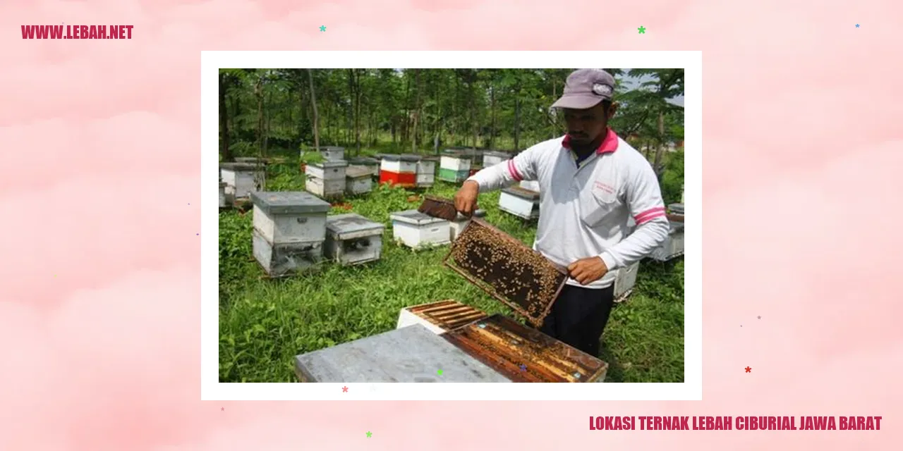 lokasi ternak lebah ciburial jawa barat