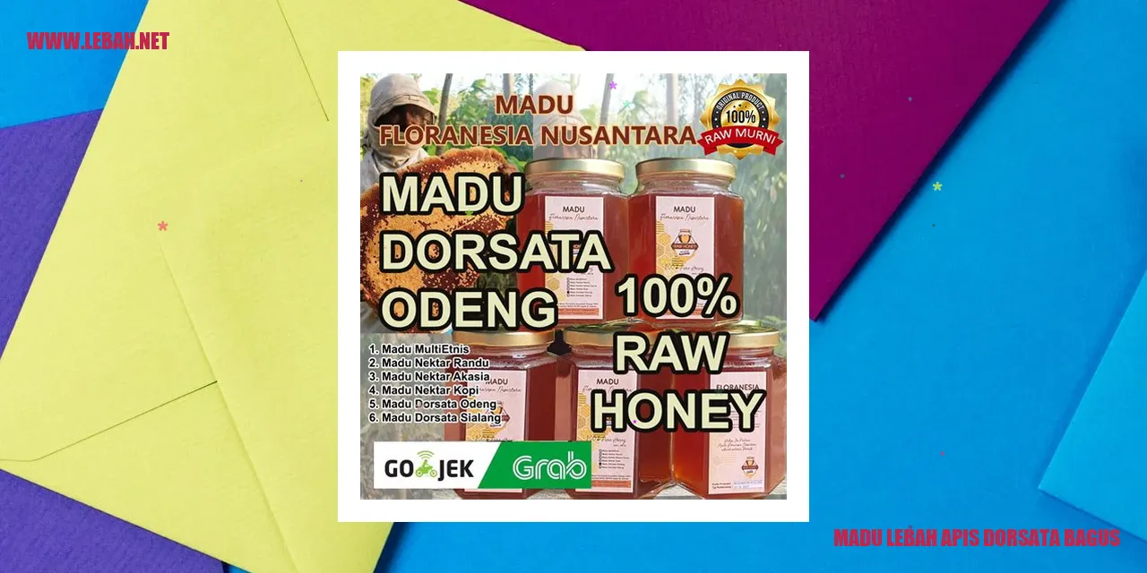 Gambar Madu Lebah Apis Dorsata Bagus