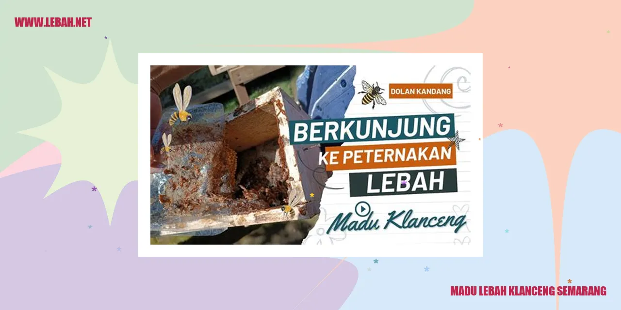 madu lebah klanceng semarang