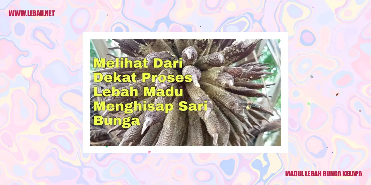 madu lebah bunga kelapa