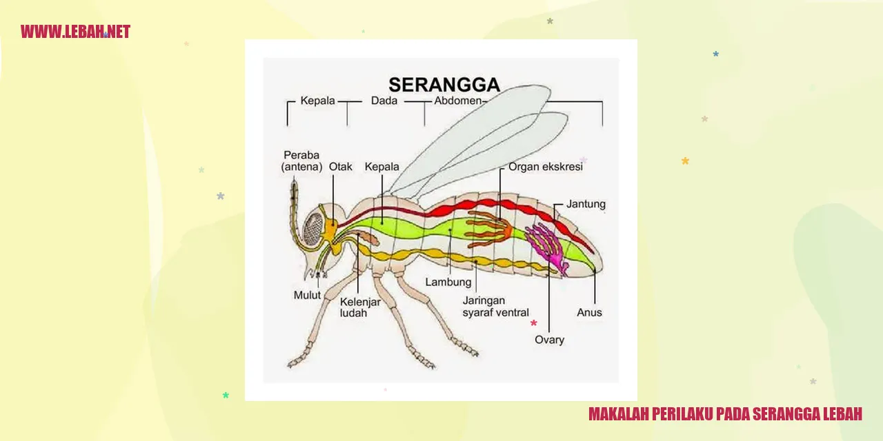 Lebah dalam sarang