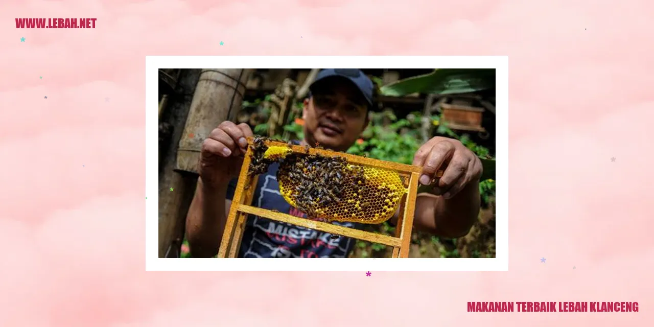 makanan terbaik lebah klanceng