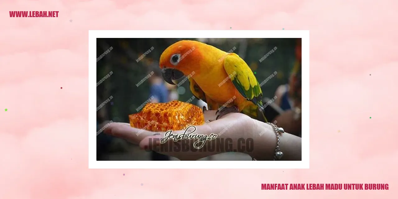 Gambar anak lebah madu untuk burung