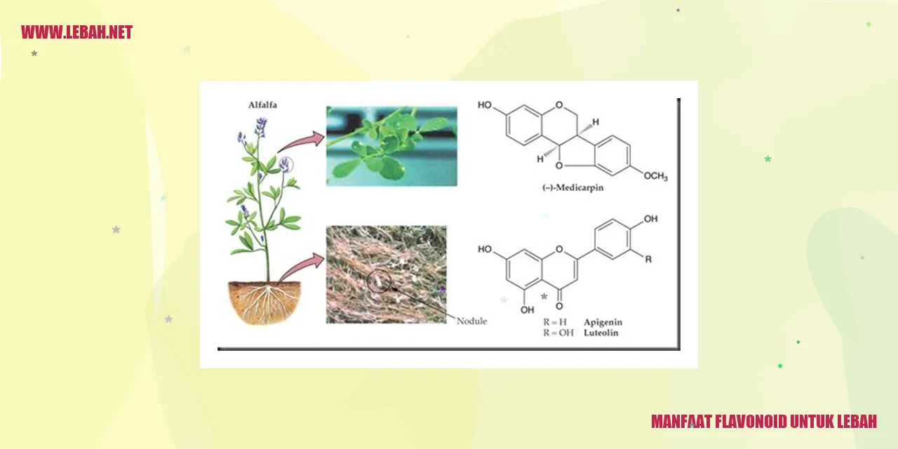 manfaat flavonoid untuk lebah