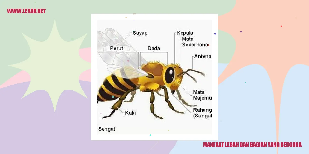 Manfaat Lebah dan Bagian yang Berguna