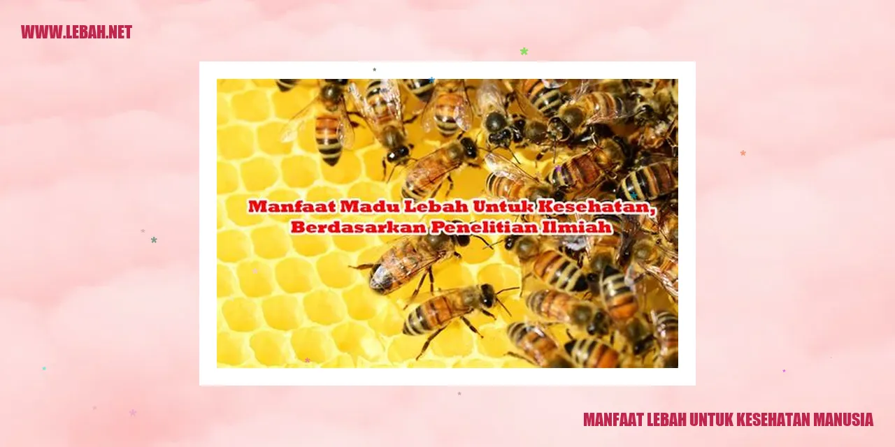 manfaat lebah untuk kesehatan manusia