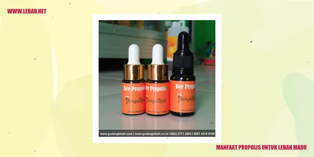 Manfaat Propolis untuk Lebah Madu