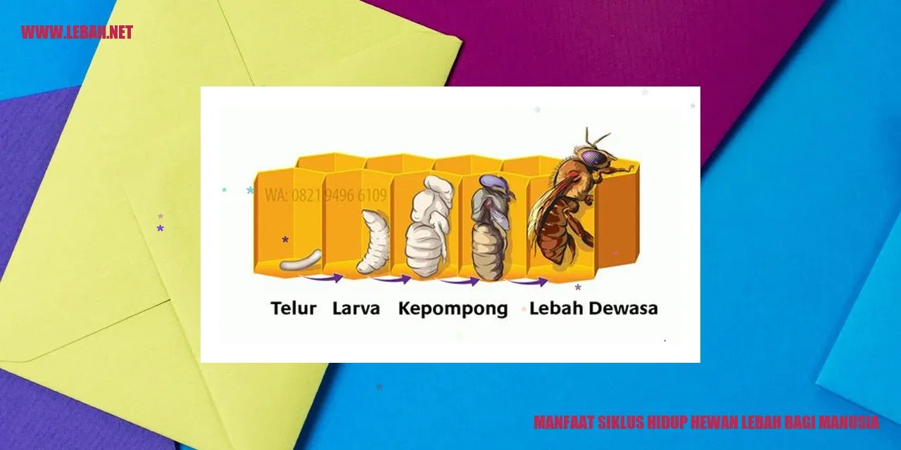 gambar lebah