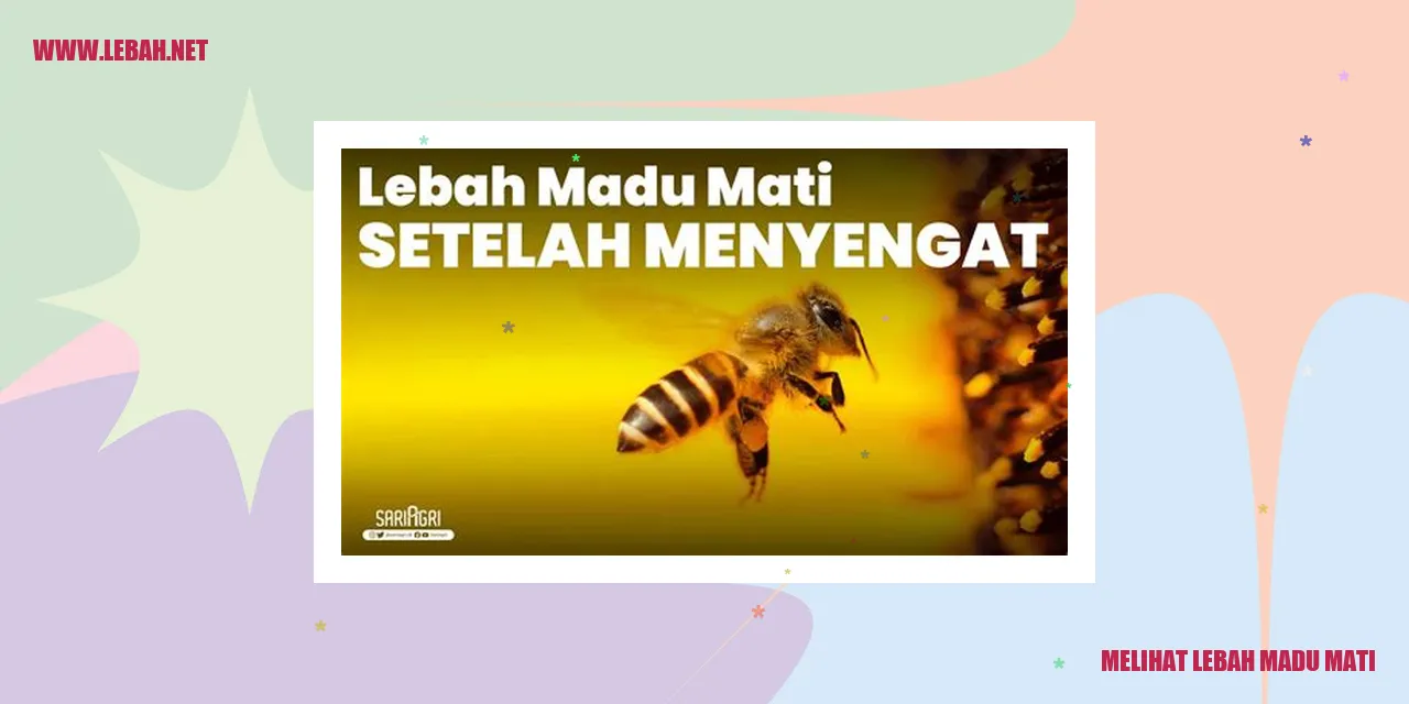 melihat lebah madu mati