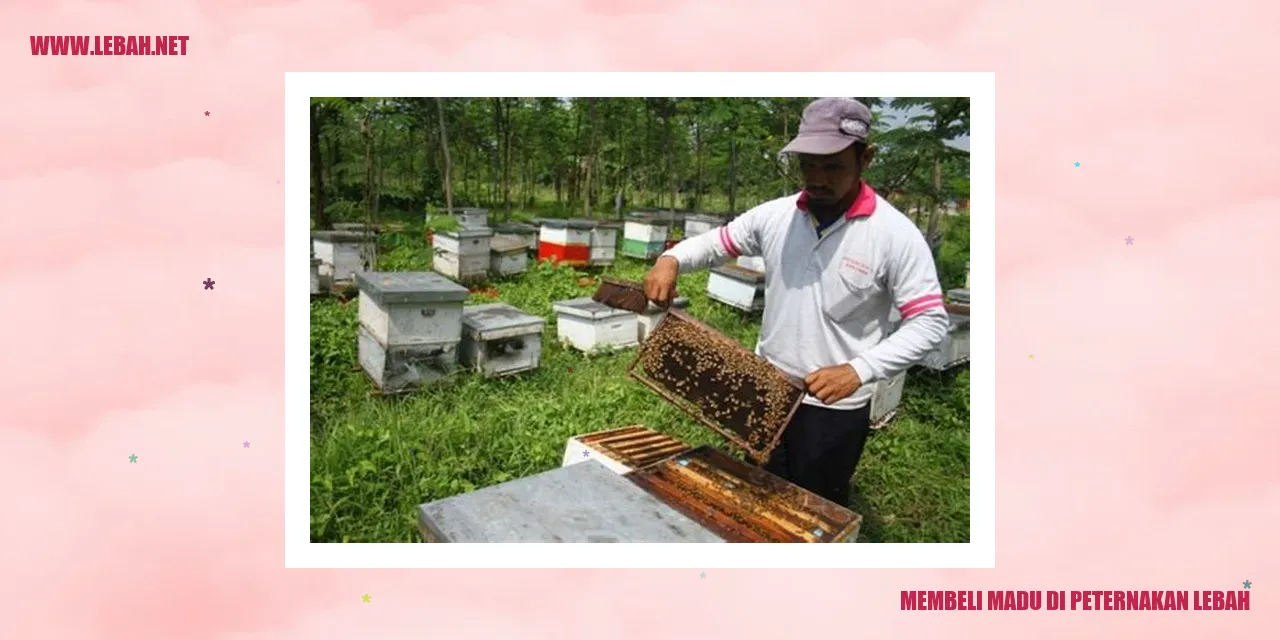 Membeli Madu di Peternakan Lebah