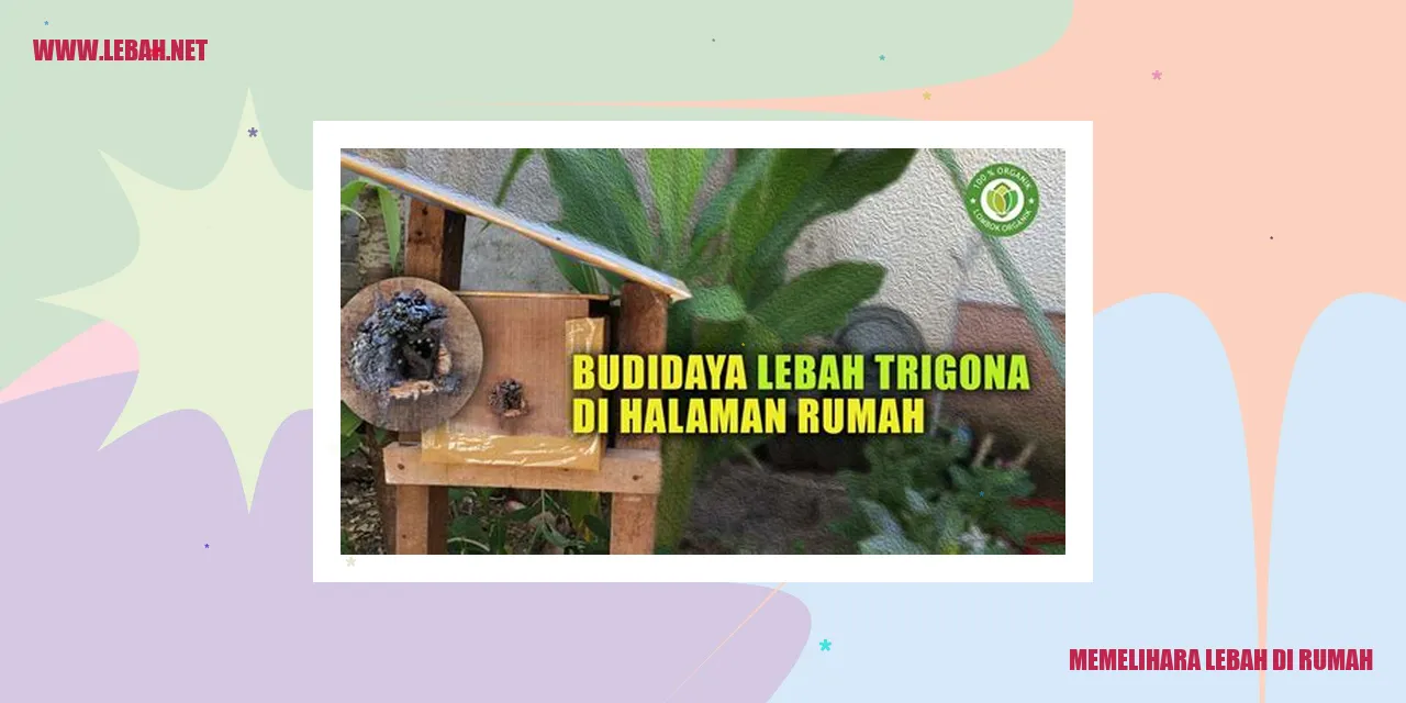 Memelihara Lebah di Rumah