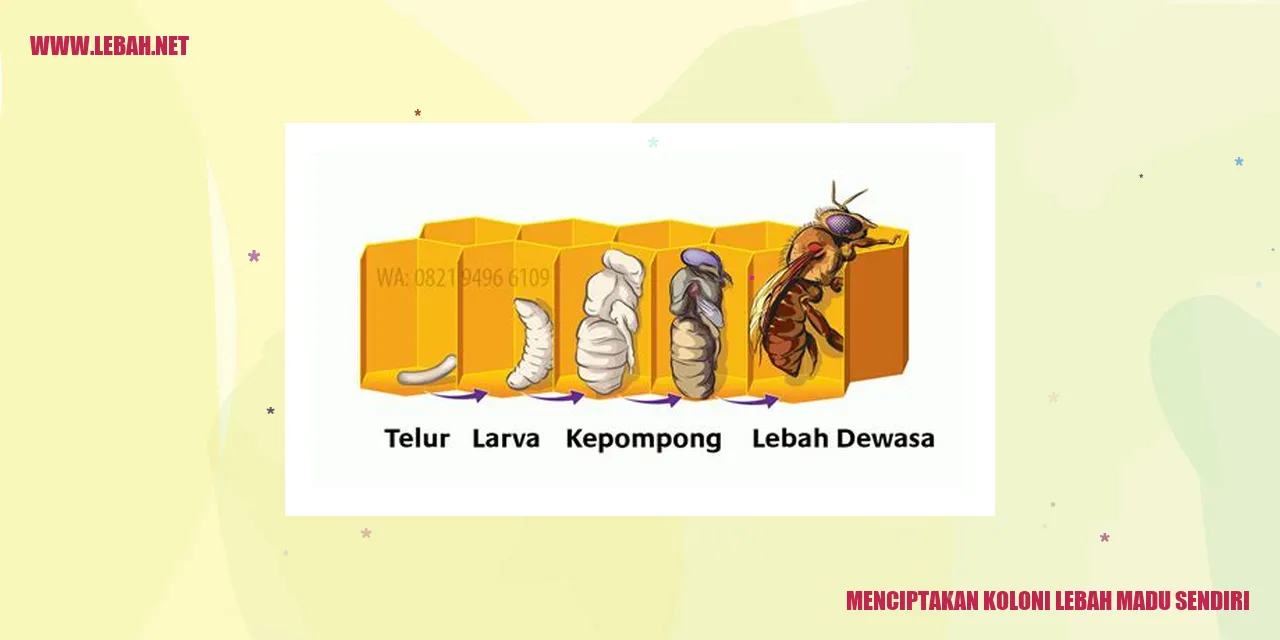 Menciptakan Koloni Lebah Madu Sendiri